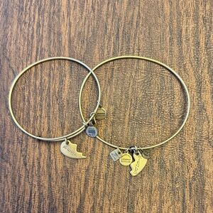 Alex and Ani Best Friends Bangle Bracelet Set with Charms